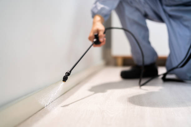 Licensed Fumigation Services service in Mooreland, OK - Nex Pest Control