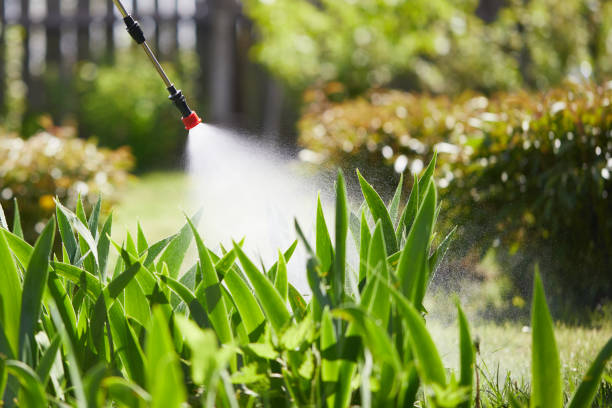 24/7 Emergency Fumigation Services experts in Mooreland, OK