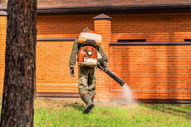 Trusted Termite Control service in Mooreland, OK - Nex Pest Control